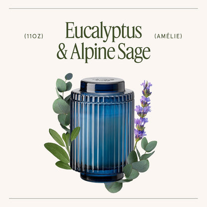 Eucalyptus Sage Fresh Scented Candles for Home, Soy Wax, 11Oz4