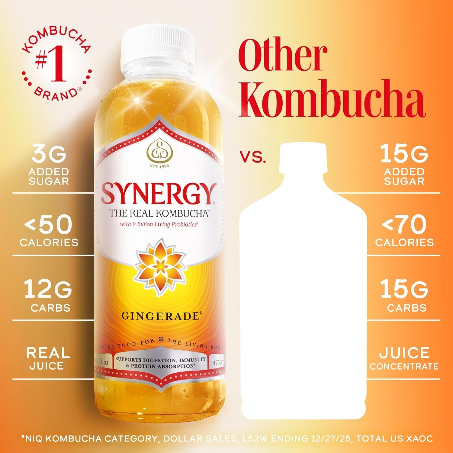 the-real-kombucha-gingerade-16-fl-oz-bottle-raw-probiotic-drink-for-gut-health-and-immune-support