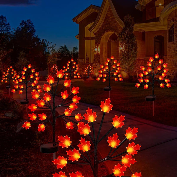 Fall Décor Solar Garden Lights for Outdoor Thanksgiving Decorations,2Pack 40LED RED Maple Leaves Path Lights,Autumn Harvest Outdoor Decorations,Solar Fall Lights for Thanksgiving Party Decor1