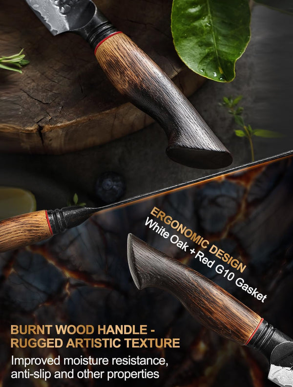 Kitchen Paring Knife 4.2 Inch,Razor Sharp Hand Forged Damascus Steel Small Kitchen Knife for Peeling Coring Fruit with Ergonomic Handle4