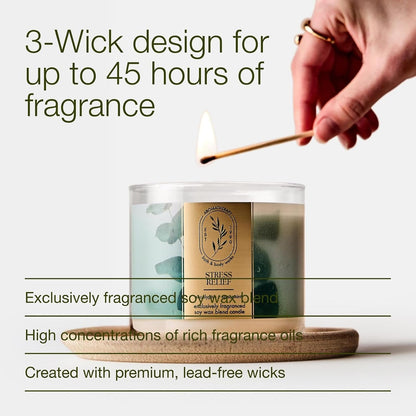 3-Wick Candle, Eucalyptus Spearmint, 2 Pack4