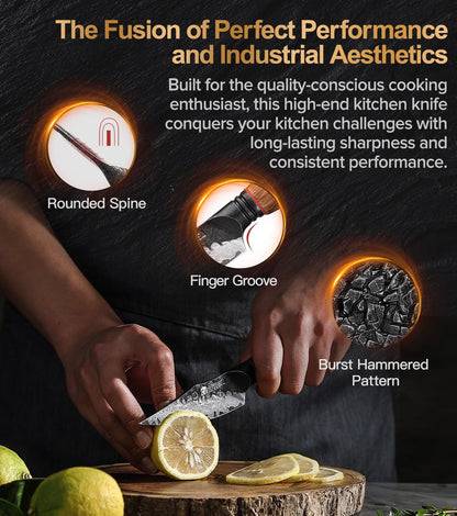 Kitchen Paring Knife 4.2 Inch,Razor Sharp Hand Forged Damascus Steel Small Kitchen Knife for Peeling Coring Fruit with Ergonomic Handle3