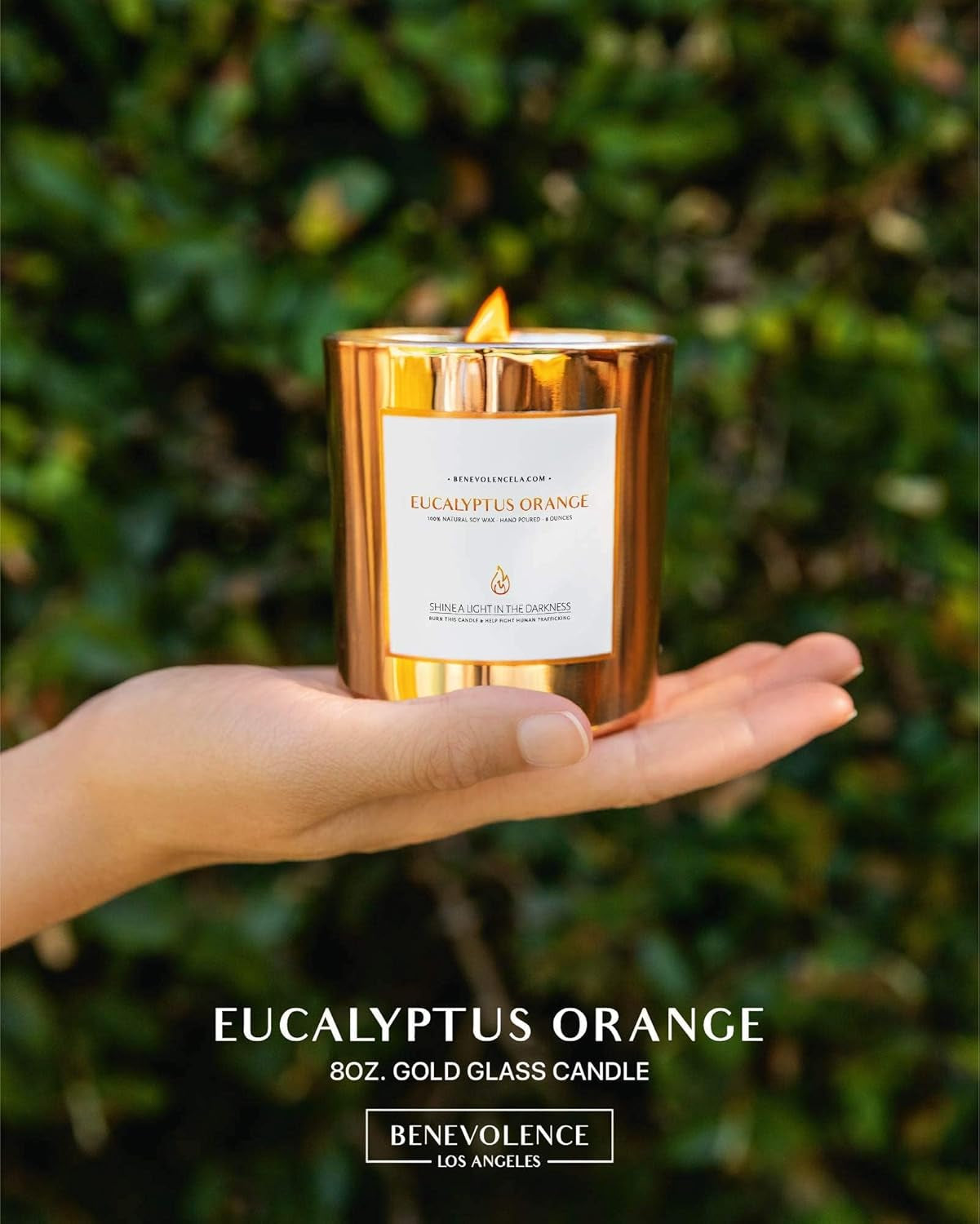 premium-eucalyptus-orange-scented-candle-long-lasting-45-hour-burn-luxury-natural-soy-wood-wick-candle-for-home-aromatherapy-room-decor-8oz