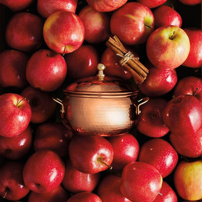 Thymes Simmered Cider Copper Candle - Warm & Spicy Apple Scented Candles for Home - Notes of Apple, Clove, and Cardamom - Luxury Gifts for Women - Fall Decor - 3 Wick (Copper Pot, 18 Oz)2