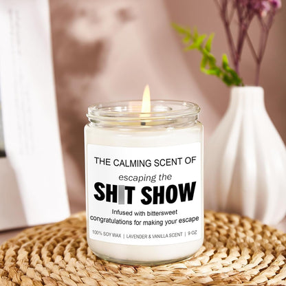 Sarcastic Candles, Going Away, Goodbye, Farewell Gifts for Coworkers - Retirement, Coworker Leaving Gifts for Women, Men - Leaving Job, Moving Away Presents for Friends, Boss, Work Bestie5