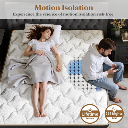 Queen Mattress 14 Inch, Luxury Hotel Cooling Hybrid Bed Mattress in a Box | Zones Individual Pocket Spring, Extra Hip/Shoulder/Lumbar Support, Fiberglass-Free, 365-Night Trial, Certipur-Us5
