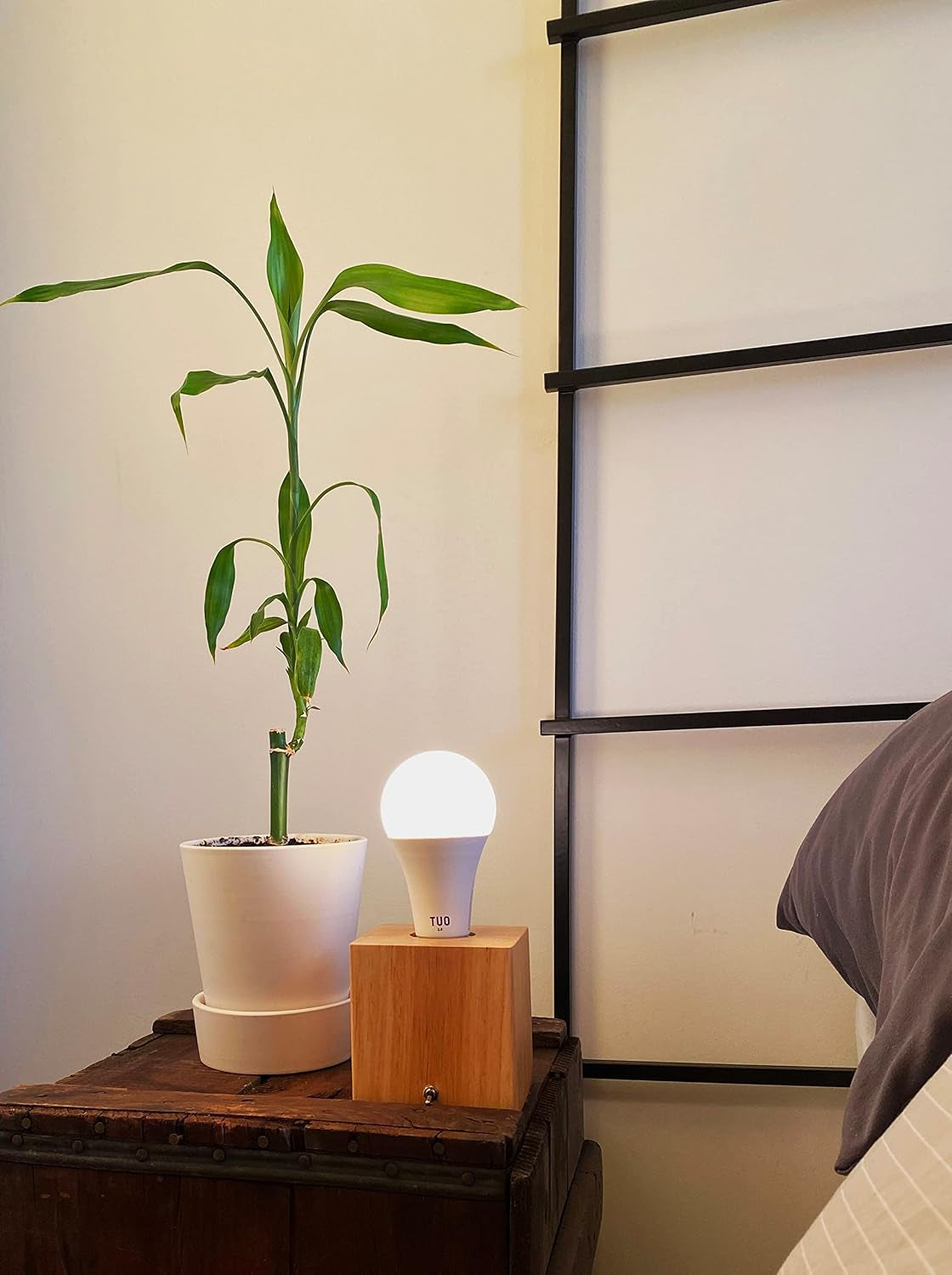 bundle-shadeless-lamp-and-circadian-sunrise-simulation-smart-led-light-bulb