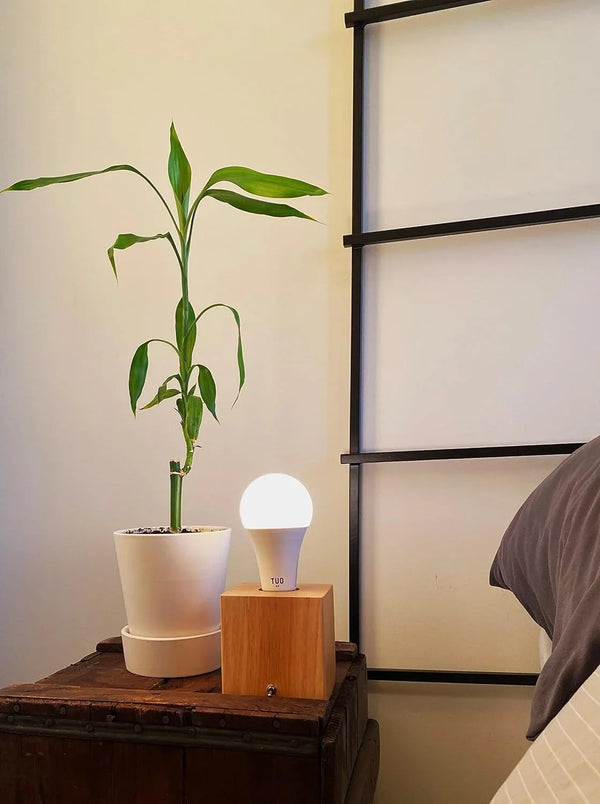 Desk, Table, Bedside Lamp - Modern, Simple, Solid Wood, E26 Edison Base4