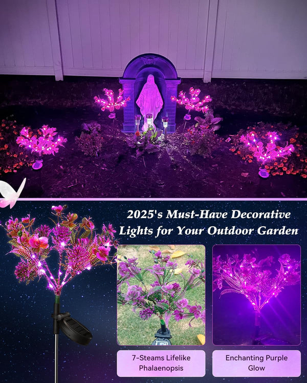 Solar Garden Lights, 6PK Purple Phalaenopsis Solar Flowers Outdoor Waterproof, Solar Lights Decorative for Garden,Yard Decor, Outdoor Decor2