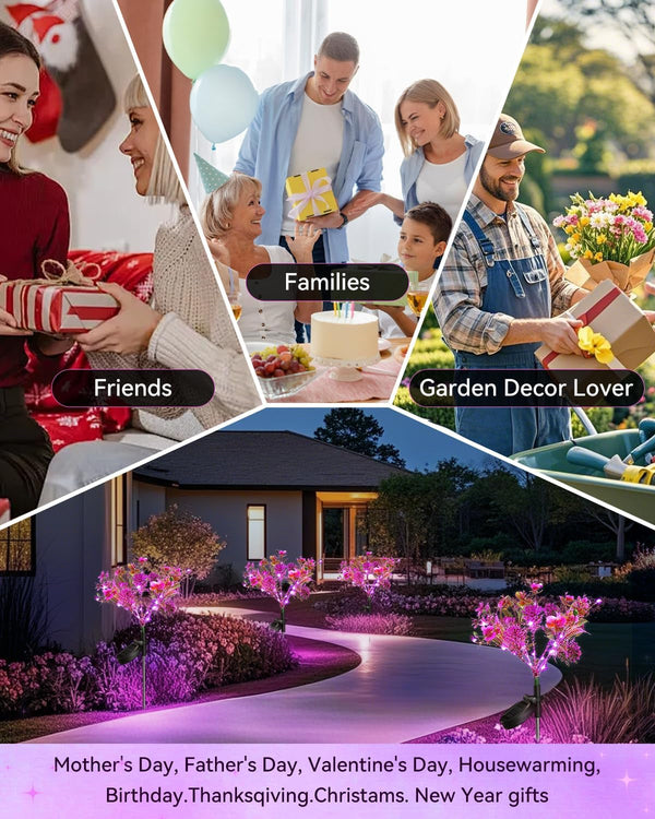 Solar Garden Lights, 6PK Purple Phalaenopsis Solar Flowers Outdoor Waterproof, Solar Lights Decorative for Garden,Yard Decor, Outdoor Decor5