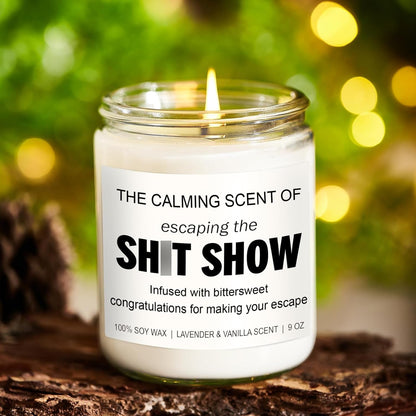 Sarcastic Candles, Going Away, Goodbye, Farewell Gifts for Coworkers - Retirement, Coworker Leaving Gifts for Women, Men - Leaving Job, Moving Away Presents for Friends, Boss, Work Bestie4