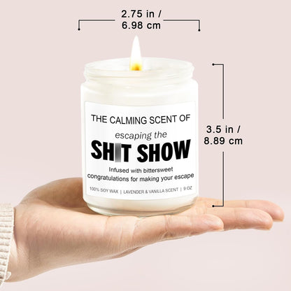 Sarcastic Candles, Going Away, Goodbye, Farewell Gifts for Coworkers - Retirement, Coworker Leaving Gifts for Women, Men - Leaving Job, Moving Away Presents for Friends, Boss, Work Bestie7