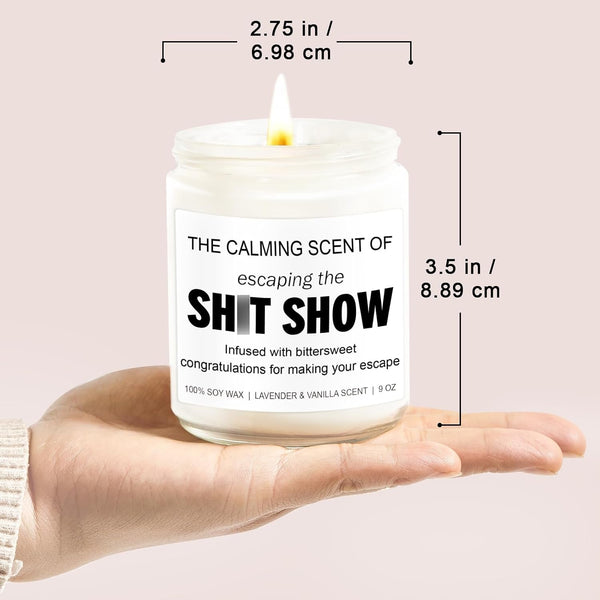 Sarcastic Candles, Going Away, Goodbye, Farewell Gifts for Coworkers - Retirement, Coworker Leaving Gifts for Women, Men - Leaving Job, Moving Away Presents for Friends, Boss, Work Bestie7