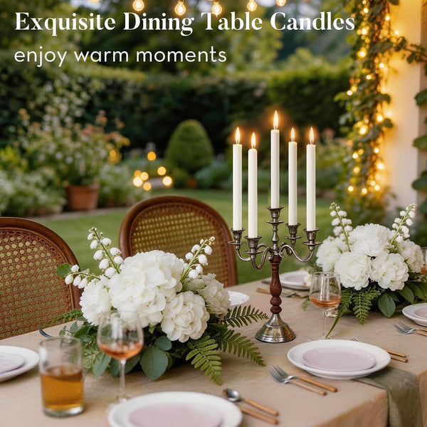 Palm Taper Candles 12Pack, 10 Inch Unscented Dripelss Candlesticks8