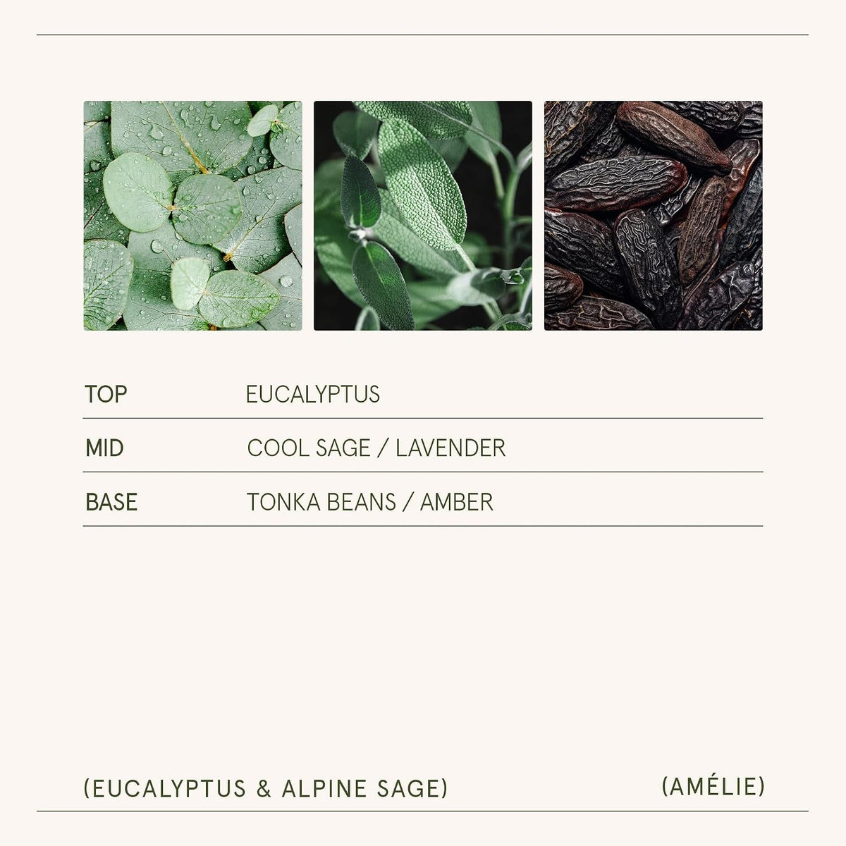 eucalyptus-sage-fresh-scented-candles-for-home-soy-wax-11oz