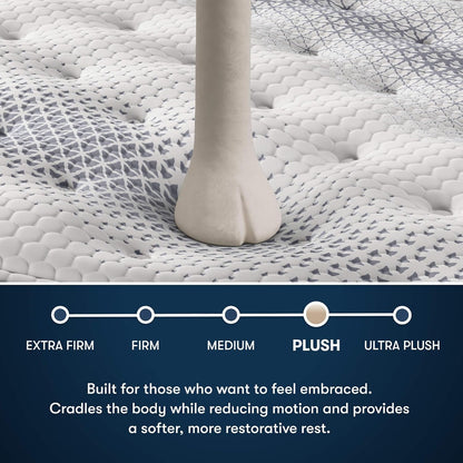 Icomfortpro - Buckingham 16" Plush Pillow Top Queen Foam Mattress2