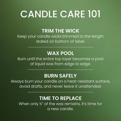 Balsam & Cedar, Holiday Scented Candle, 22Oz Large Jar with up to 150 Hour Burn Time, Giftable4