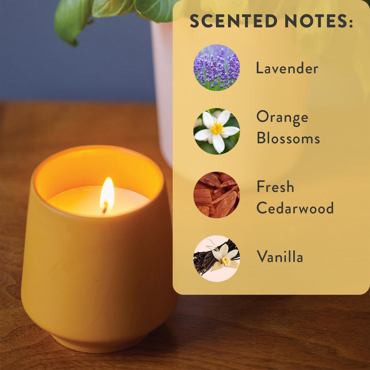 soy-candle-planter-grows-lavender-cedarwood-scent-6-oz