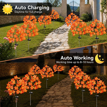 Fall Decorations Outdoor Solar Lights, 2Pcs Thanksgiving Lights 40LED 80 Maple Leaves Stake Light Waterproof 8 Lighting Modes for Autumn Patio Garden Yard outside Halloween Thanksgiving Decorations3