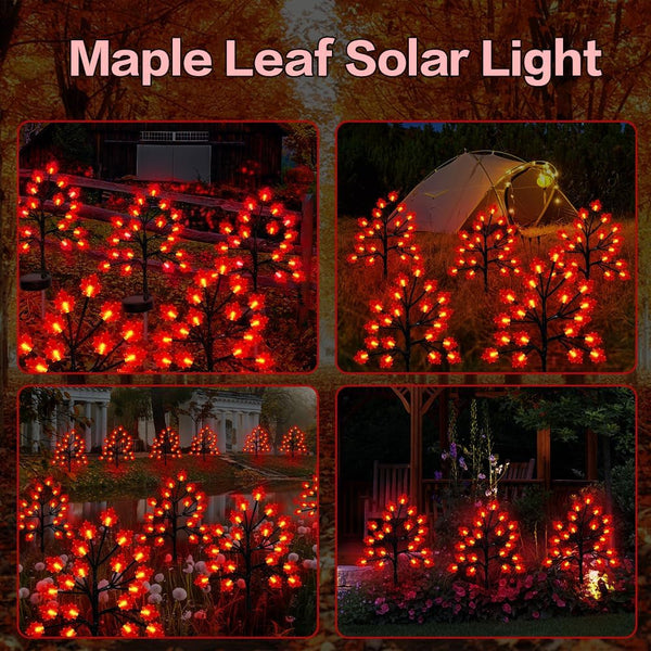 Fall Décor Solar Garden Lights for Outdoor Thanksgiving Decorations,2Pack 40LED RED Maple Leaves Path Lights,Autumn Harvest Outdoor Decorations,Solar Fall Lights for Thanksgiving Party Decor2