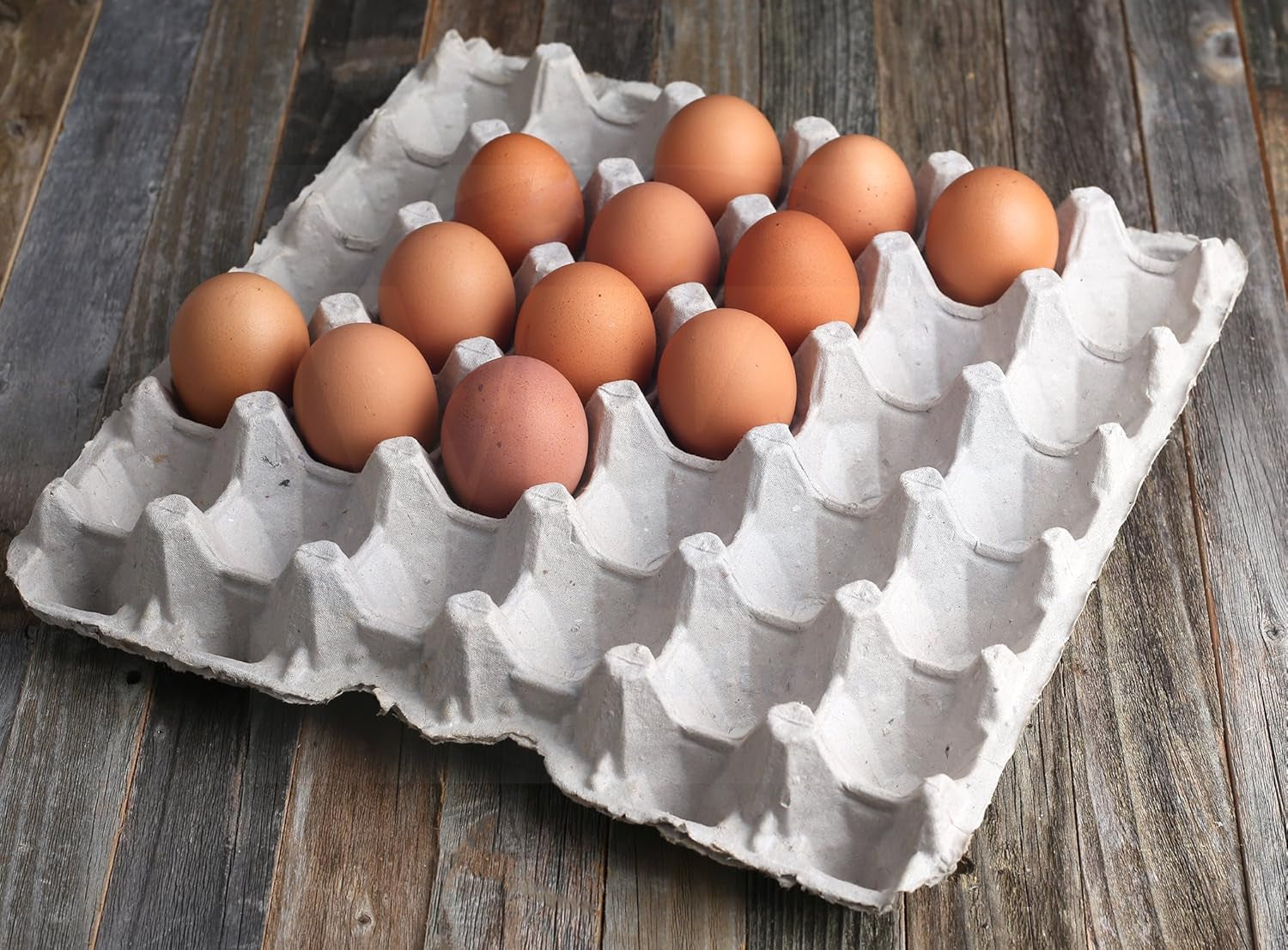 biodegradable-pulp-fiber-egg-flats-15-pieces-for-storing-up-to-30-large-or-small-eggs-egg-crates-that-make-a-great-home-for-roach-colony-by