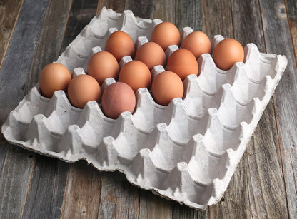 Biodegradable Pulp Fiber Egg Flats - 15 Pieces for Storing up to 30 Large or Small Eggs/Egg Crates That Make a Great Home for Roach Colony by9