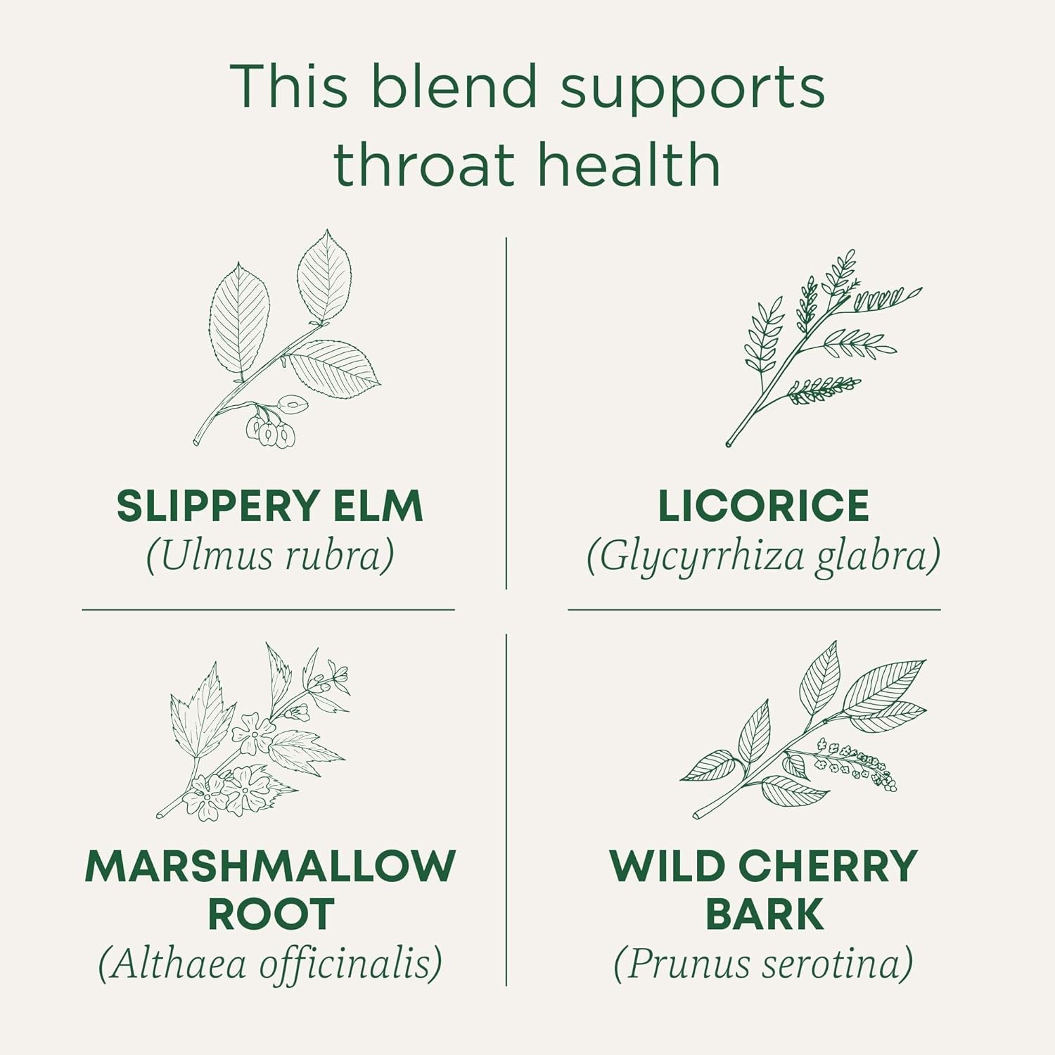 organic-throat-coat-seasonal-tea-16-tea-bags-pack-of-1-supports-throat-health-kosher-non-gmo-caffeine-free-compostable