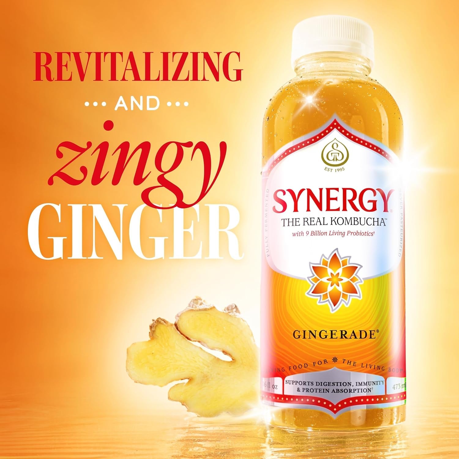the-real-kombucha-gingerade-16-fl-oz-bottle-raw-probiotic-drink-for-gut-health-and-immune-support