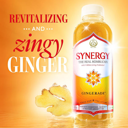 the Real Kombucha - Gingerade - 16 Fl Oz Bottle - Raw Probiotic Drink for Gut Health and Immune Support3