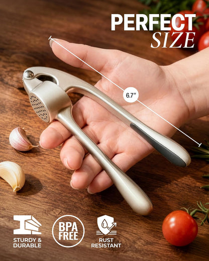 Premium Garlic Press Set - Rust Proof Professional Garlic Mincer Tool - Easy-Squeeze, Easy-Clean with Soft, Ergonomic Handle - Silicone Garlic Peeler & Brush (Silver)2