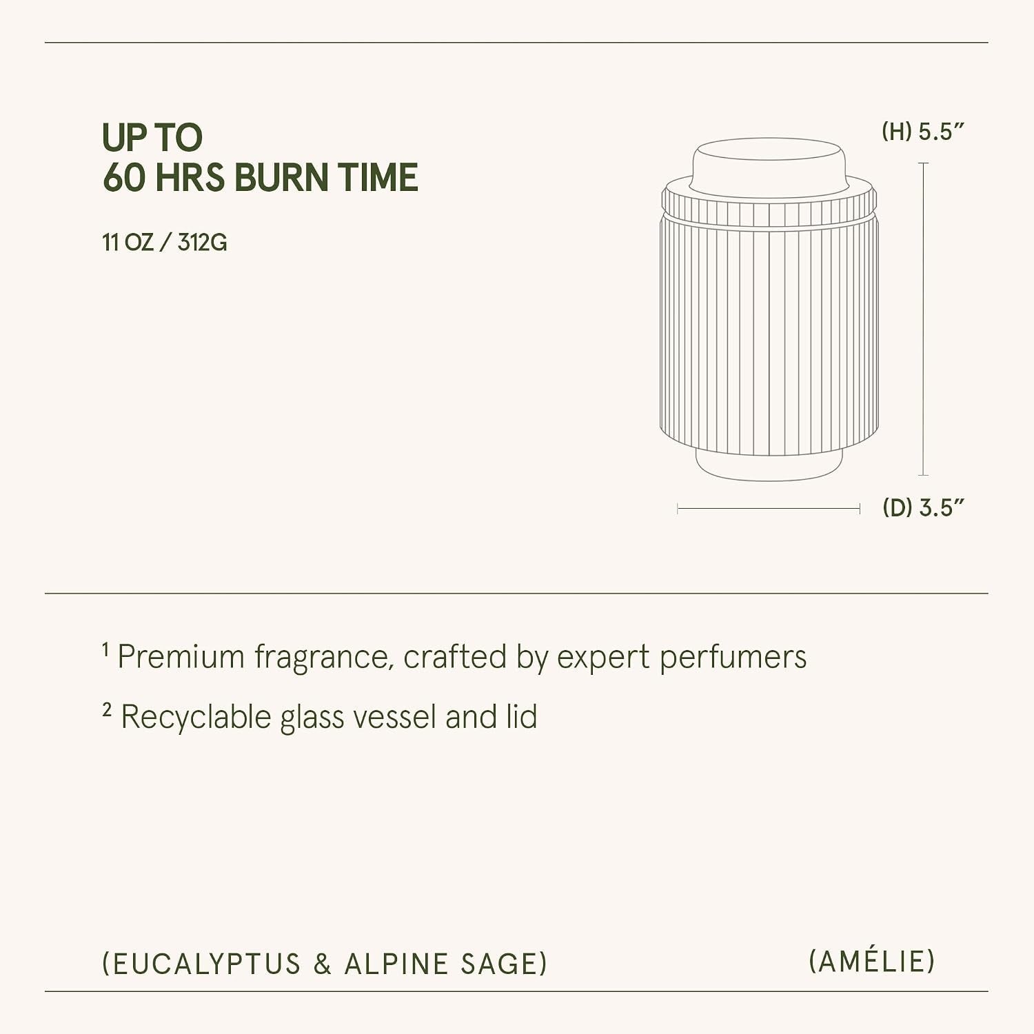 eucalyptus-sage-fresh-scented-candles-for-home-soy-wax-11oz