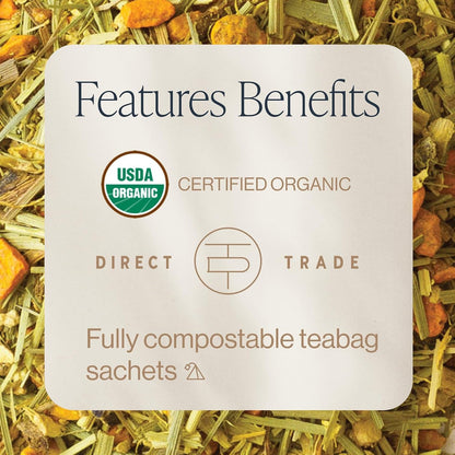Turmeric Ginger Organic Sachet Tea Bags, Caffeine Free, 15Ct | Spicy Ginger and Citrus Herbal Tea Blend, Enjoy Hot or Iced, Sustainable, 15 Servings2