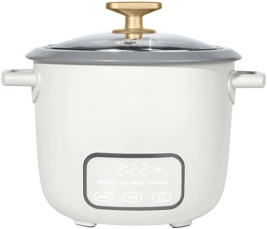 wonderful-electric-rice-cooker-6-cup-cooked-3-cup-uncooked-ceramic-nonstick-touch-display-keep-warm-2-hrs-4-presets-glass-lid-white-icing