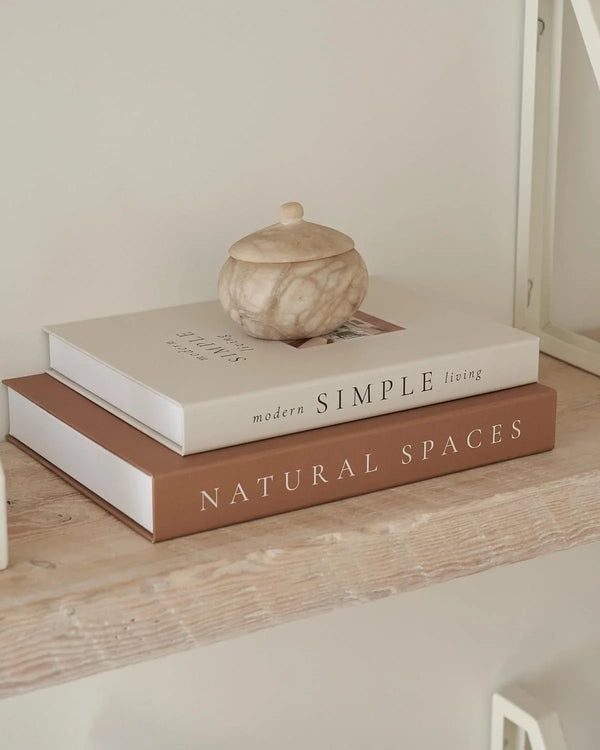 Beautiful Decorative Books Set of 2 Boxes for Coffee Table & Mantel Decor | Aesthetic Modern Home Decoration for Your Bookshelf or Mantel Shelf, Fake/Faux Books Double as Photo Storage or Keepsake Box5