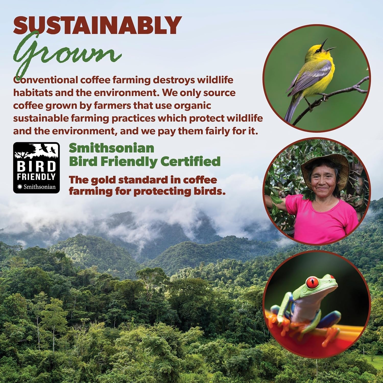 low-acid-organic-coffee-colombian-medium-dark-roast-16-oz