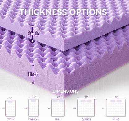 2 Inch Egg Crate Memory Foam Mattress Topper Twin Size, Soft Mattress Pad for Back Pain Relief, Bed Topper, Certipur-Us Certified7