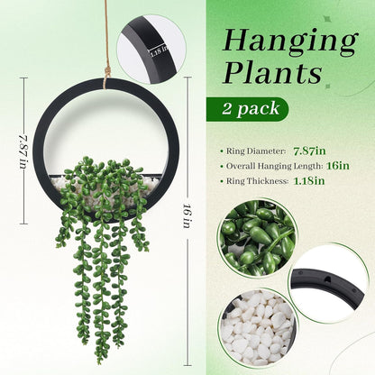 2 Pack 16" Artificial Hanging Plants in Black Pots for Wall Decor | Hanging Succulents Plants，Faux String of Pearls Plants,Great for Bathroom Bedroom Living Room Boho Wall Decor，Fresh All Year3