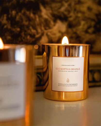 Premium Eucalyptus Orange Scented Candle – Long-Lasting, 45-Hour Burn – Luxury Natural Soy Wood Wick Candle for Home – Aromatherapy & Room Decor – 8Oz3