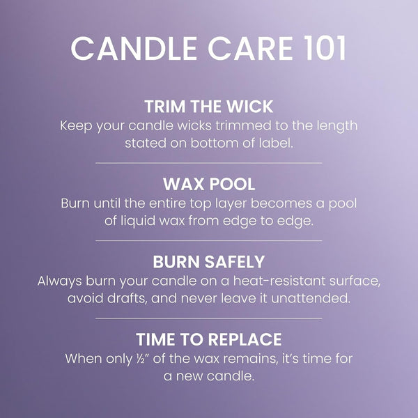 Lemon Lavender Scented Candle, 20 Oz Large Tumbler, 2-Wick, Premium Plant Wax Blend, up to 80 Hour Burn Time5