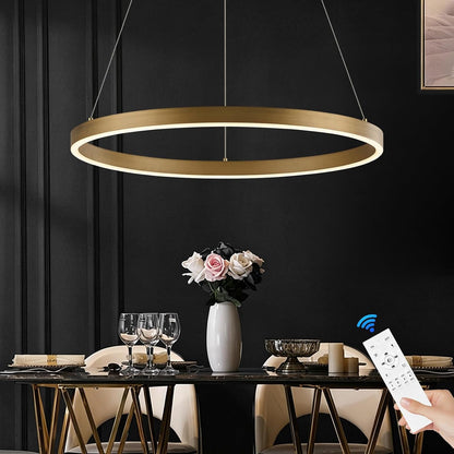 Modern LED Ring Chandelier Brass Gold Chandeliers 24In Dimmable1