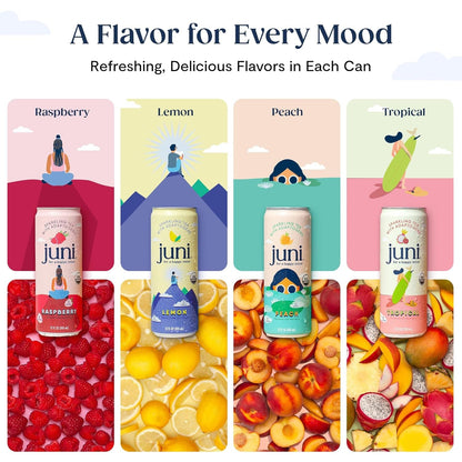 Sparkling Adaptogen Drink, Non Alcoholic Mocktail, Variety 12 Pack | Ashwagandha, Lion’S Mane & Reishi Mushrooms, Green Tea for Focus, Zero Sugar, Organic5