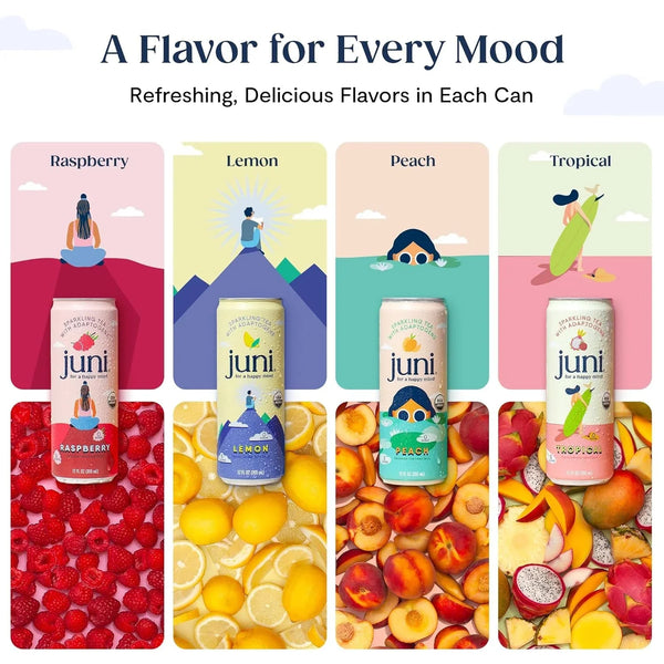 Sparkling Adaptogen Drink, Non Alcoholic Mocktail, Variety 12 Pack | Ashwagandha, Lion’S Mane & Reishi Mushrooms, Green Tea for Focus, Zero Sugar, Organic5