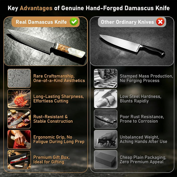 Japanese Chef Knife, 8" 67 Layers Damascus Knife with VG10 Core, Professional Hand Forged Kitchen Knife with Noble Resin Handle, Non-Stick and Razor Sharp Chef'S Knives with Gift Box for Kitchen Use7