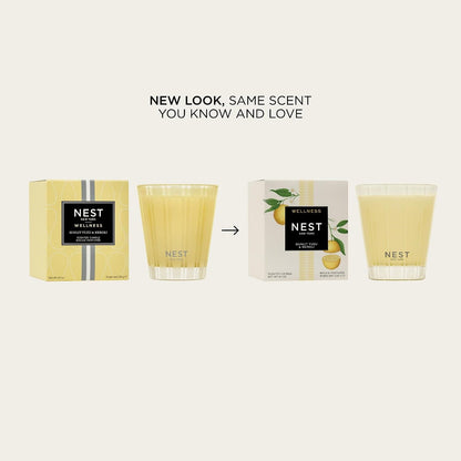 NEST New York Scented Classic Candle, Sunlit Yuzu & Neroli - 8.1 Oz - up to 60-Hour Burn Time - Reusable Glass Vessel2