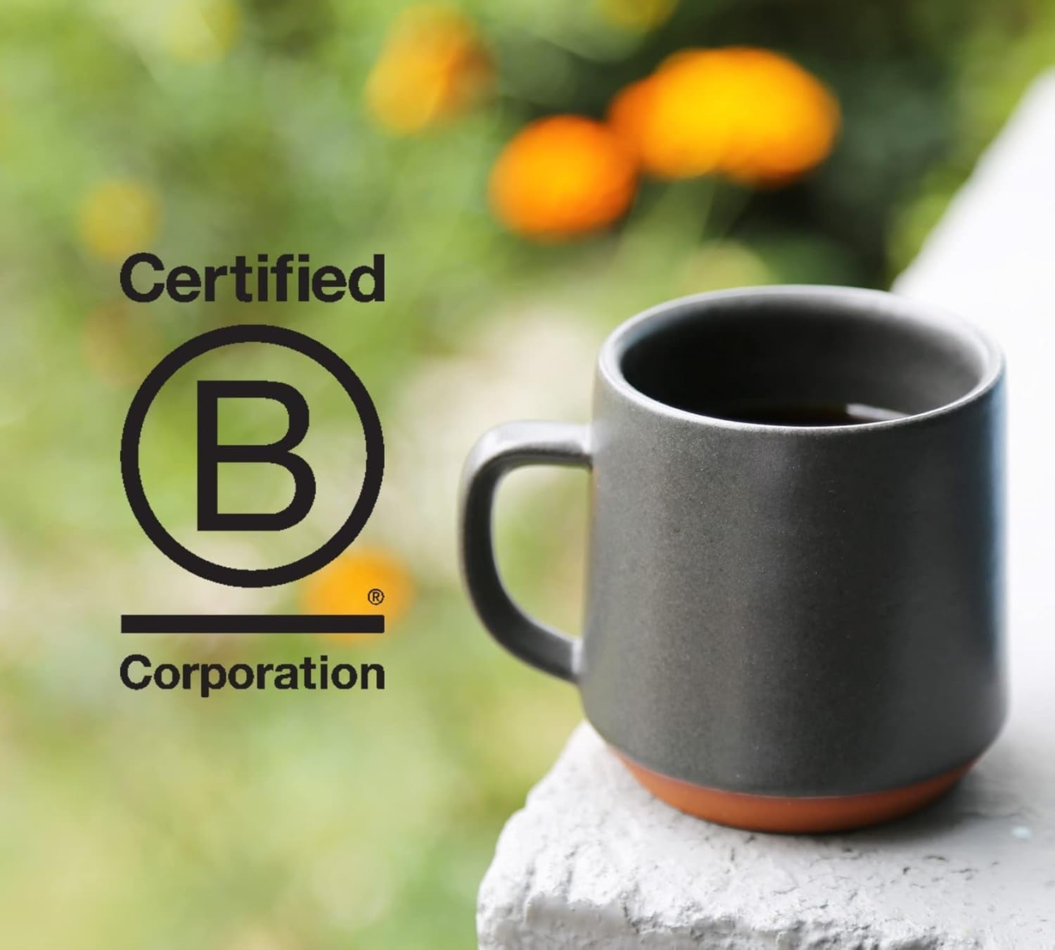 counter-culture-whole-bean-coffee-2-pack-fast-forward-light-roast-nutty-sweet-creamy-sustainably-sourced-b-corp-certified-whole-coffee-beans-kosher-gluten-free-nut-free-12oz-bag
