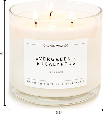 Evergreen & Eucalyptus 3 Wick Scented Candle - 43 Hour Burn10