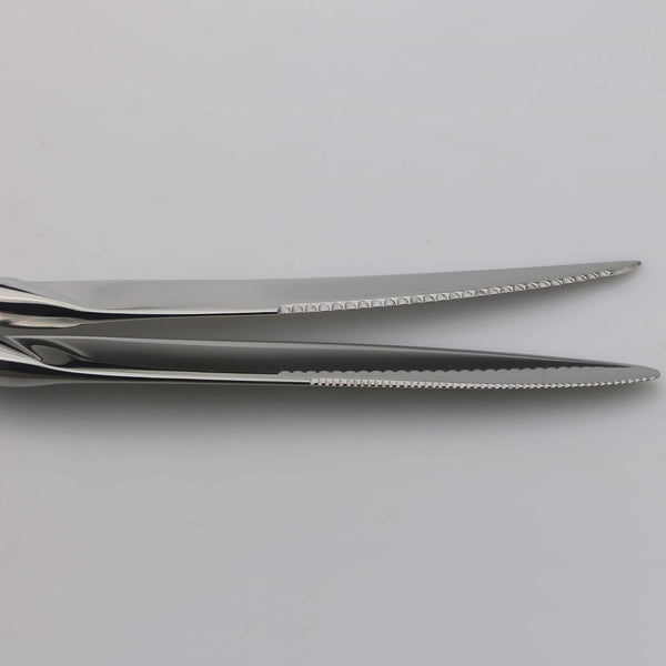 18/10 Stainless Steel Flatware Set, Serrated Steak Knife, Mirror Polishing Silver, Service for 45