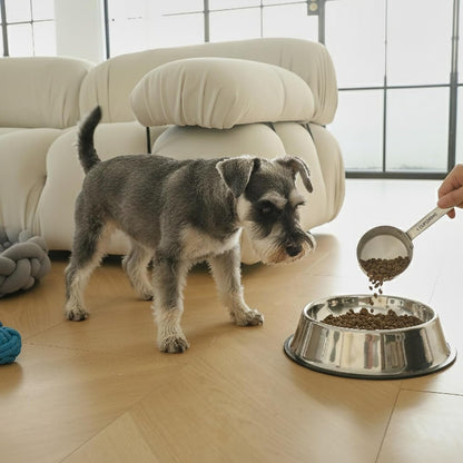 Premium 1 Cup Dog Food Scoop (1, 1 Cup)7