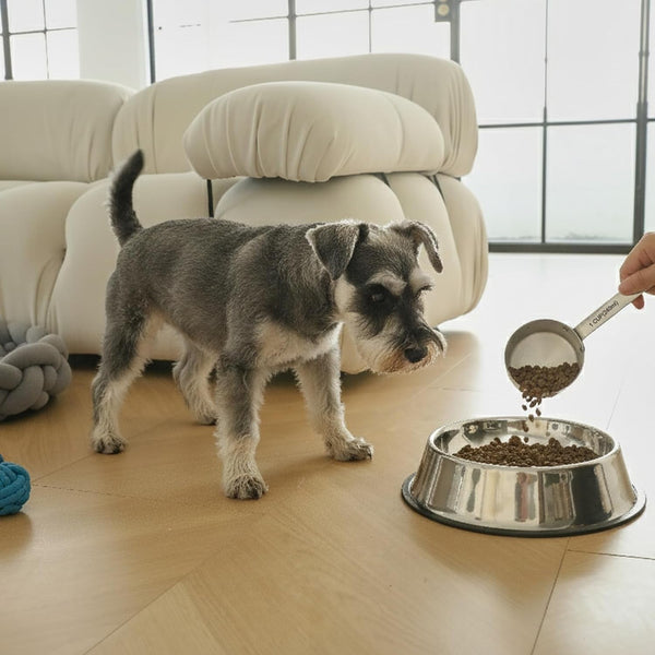 Premium 1 Cup Dog Food Scoop (1, 1 Cup)7