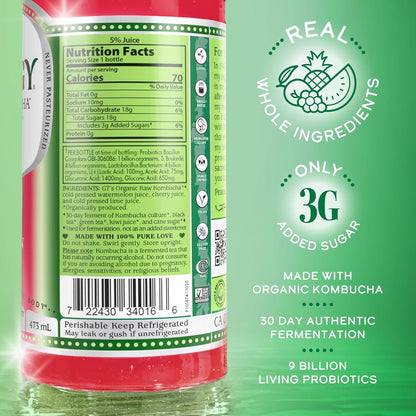 the Real Kombucha - Watermelon Wonder - 16 Fl Oz Bottle - Raw Probiotic Drink for Gut Health and Immune Support2